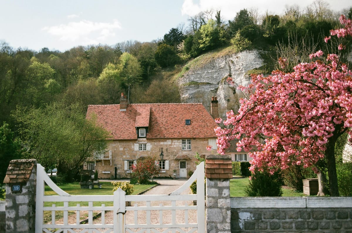 France Buying Guide